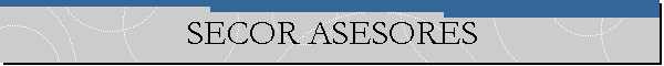 SECOR ASESORES